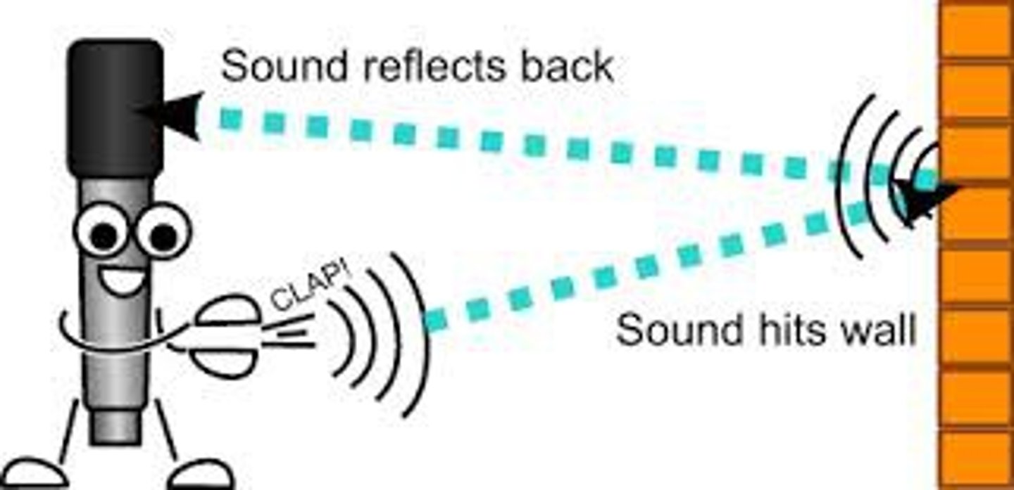 <p>The name given to a reflected sound wave</p>