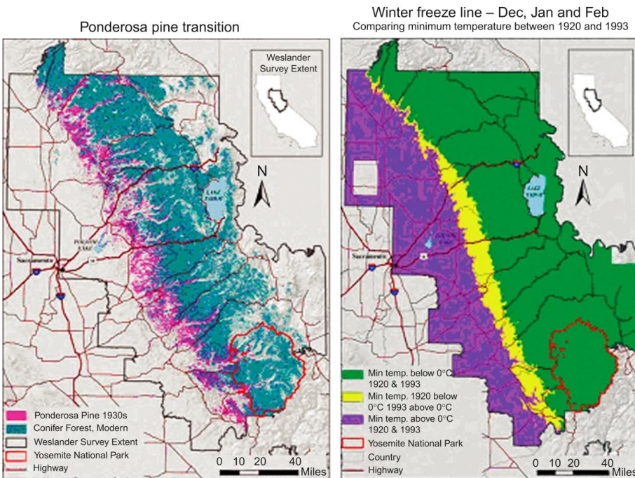 <p>Describe how warming affects snowpack and water supply in California</p><p>Describe how warming is affecting sea ice and in turn marine &amp; polar animals</p>