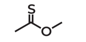 <p>IUPAC Name → <strong>methylethanethioate</strong></p>