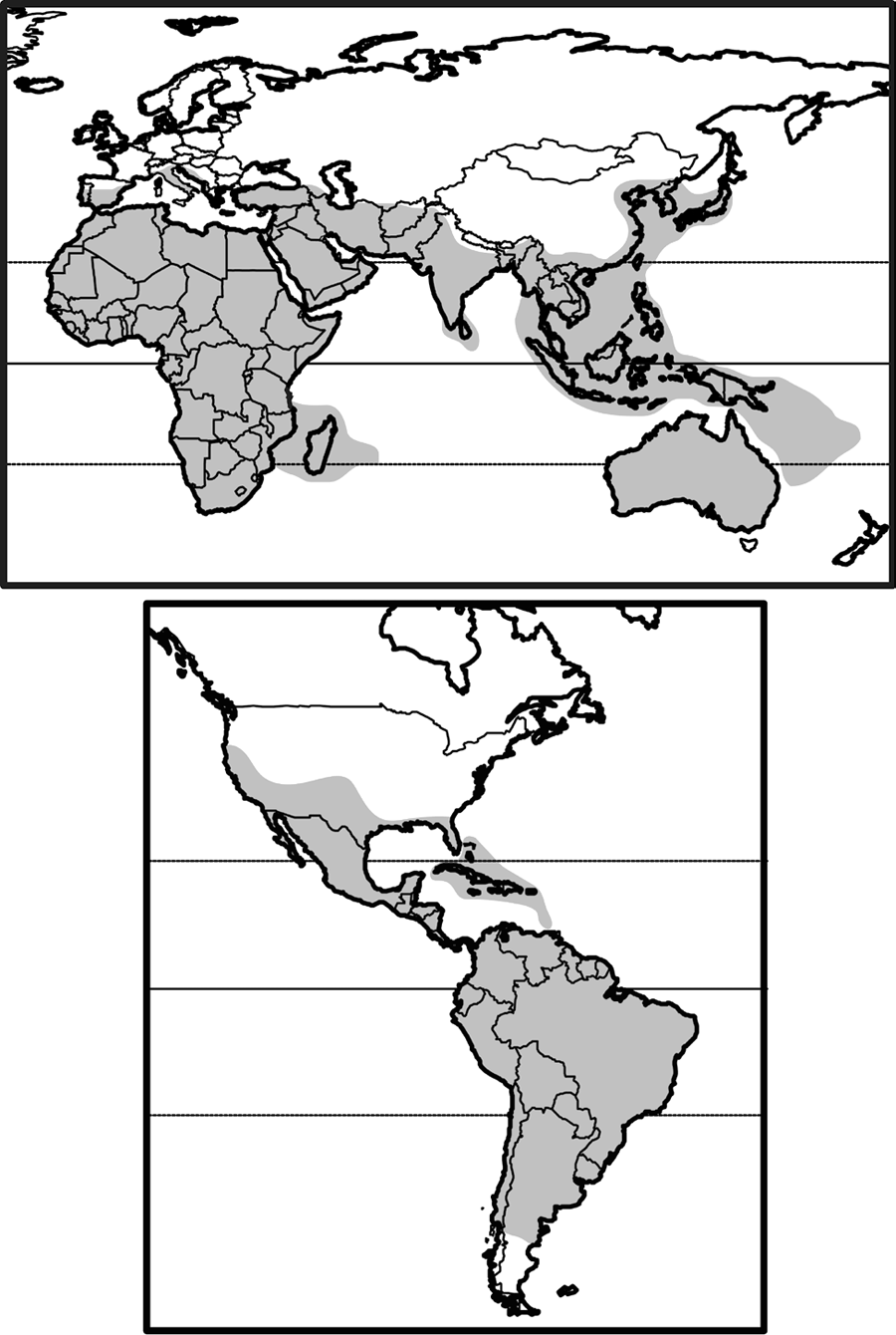 cosmopolitan (n and s america, southern eurasia, africa, australia)