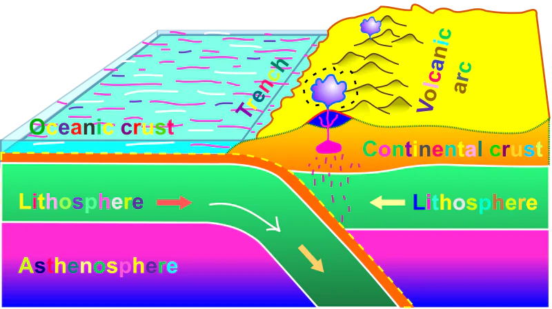 <h5 style="text-align: start" collapsed="false" seolevelmigrated="true">Convergent Boundaries</h5>