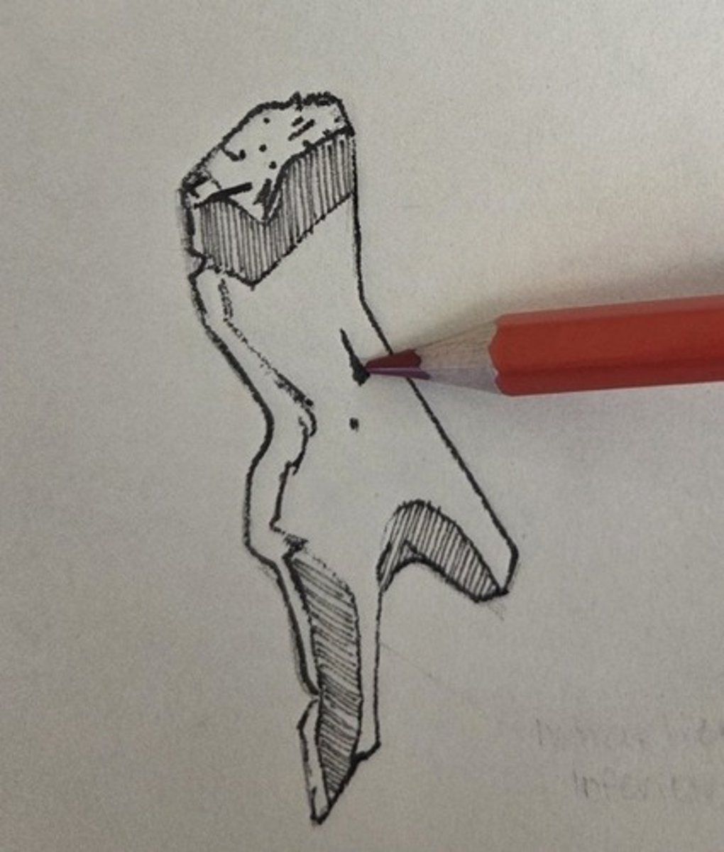 <p>perforates the facial surface and transmits a vein</p>