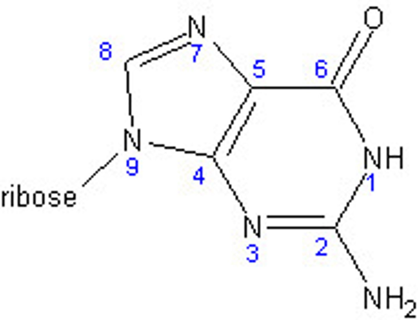 <p>1) ID</p><p>2) Where does the sugar attach?</p>