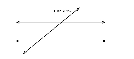 <p>A line that intersects two coplanar lines at two different points</p>
