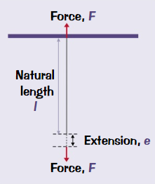 <p><strong>Extension</strong> of stretched wire is <strong>proportional</strong> to <strong>load</strong>/<strong>force</strong></p><p>Metal spring (or other object) also obeys Hooke’s law if a pair of <strong>opposite forces</strong> are applied to each end </p>