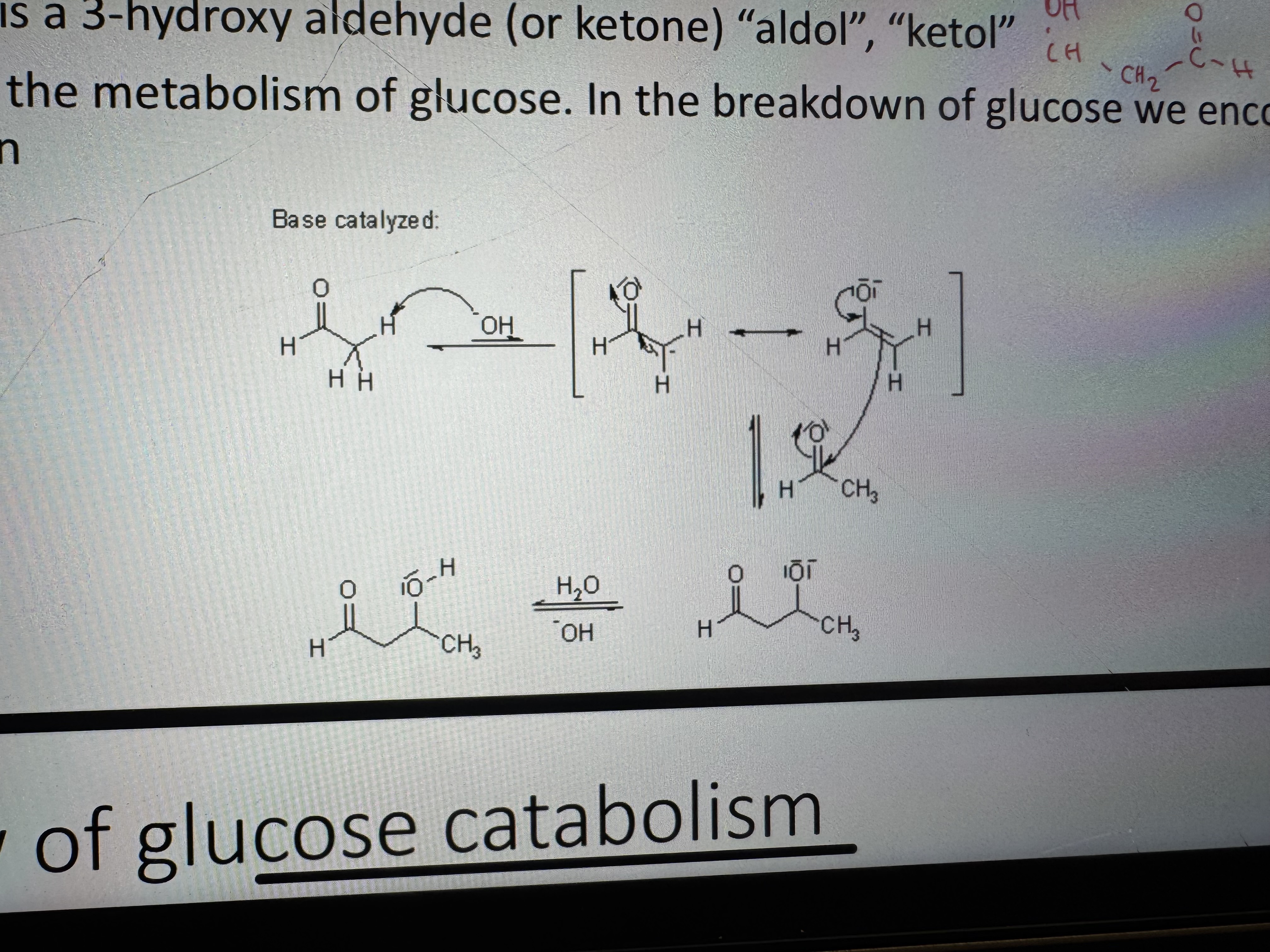 <p>the base shifts the equilibrium towards thr enolate form, and the carbanion can perform a nucleophilic attack on the carbonyl</p>