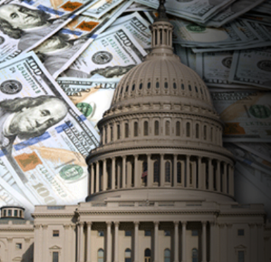 <p>Fiscal policy</p>