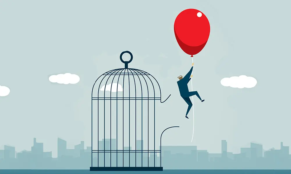 <p>What makes it possible to feel good about having effect on environment </p>