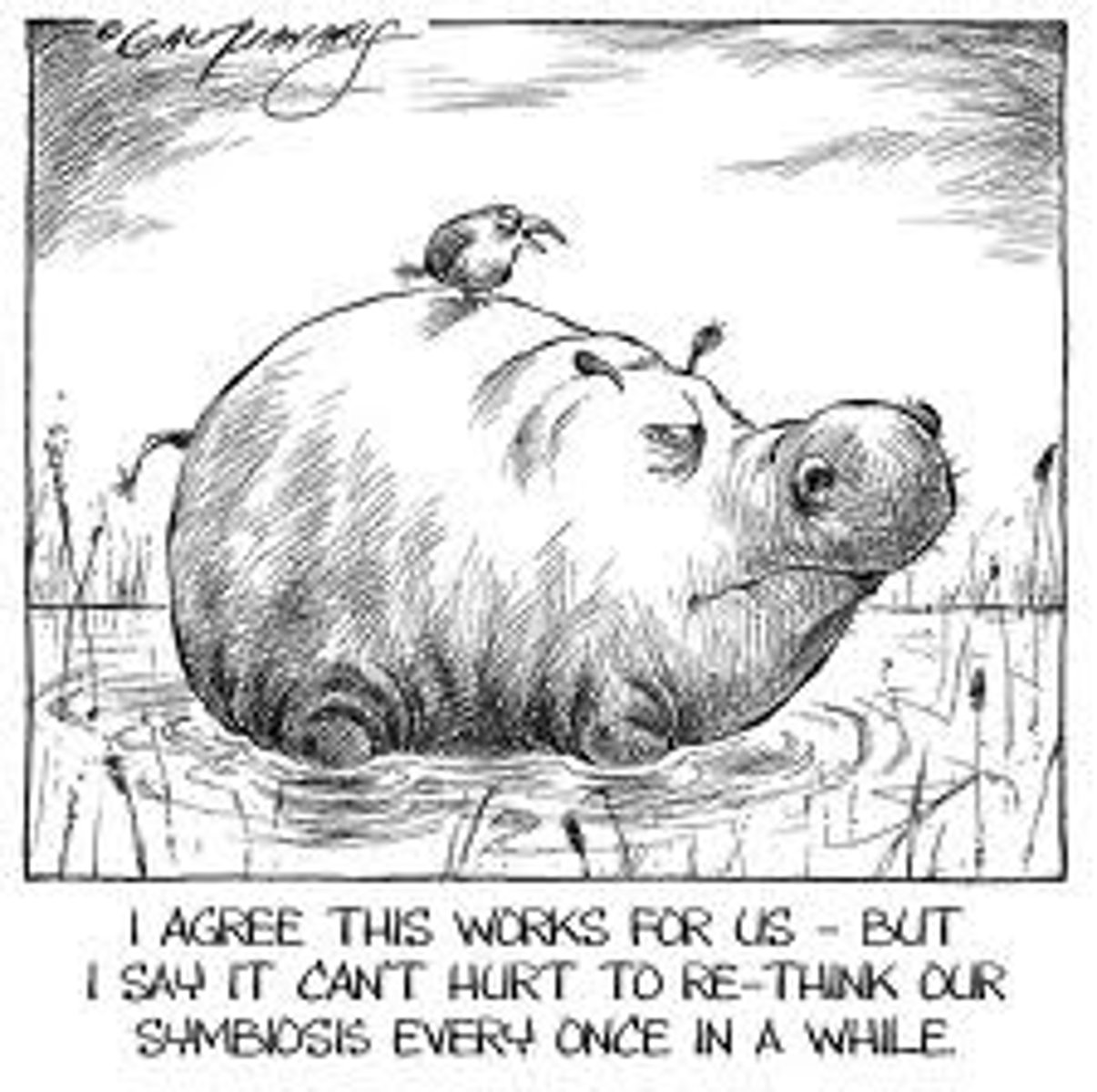 <p>the relation between two different species of organisms that are interdependent</p>