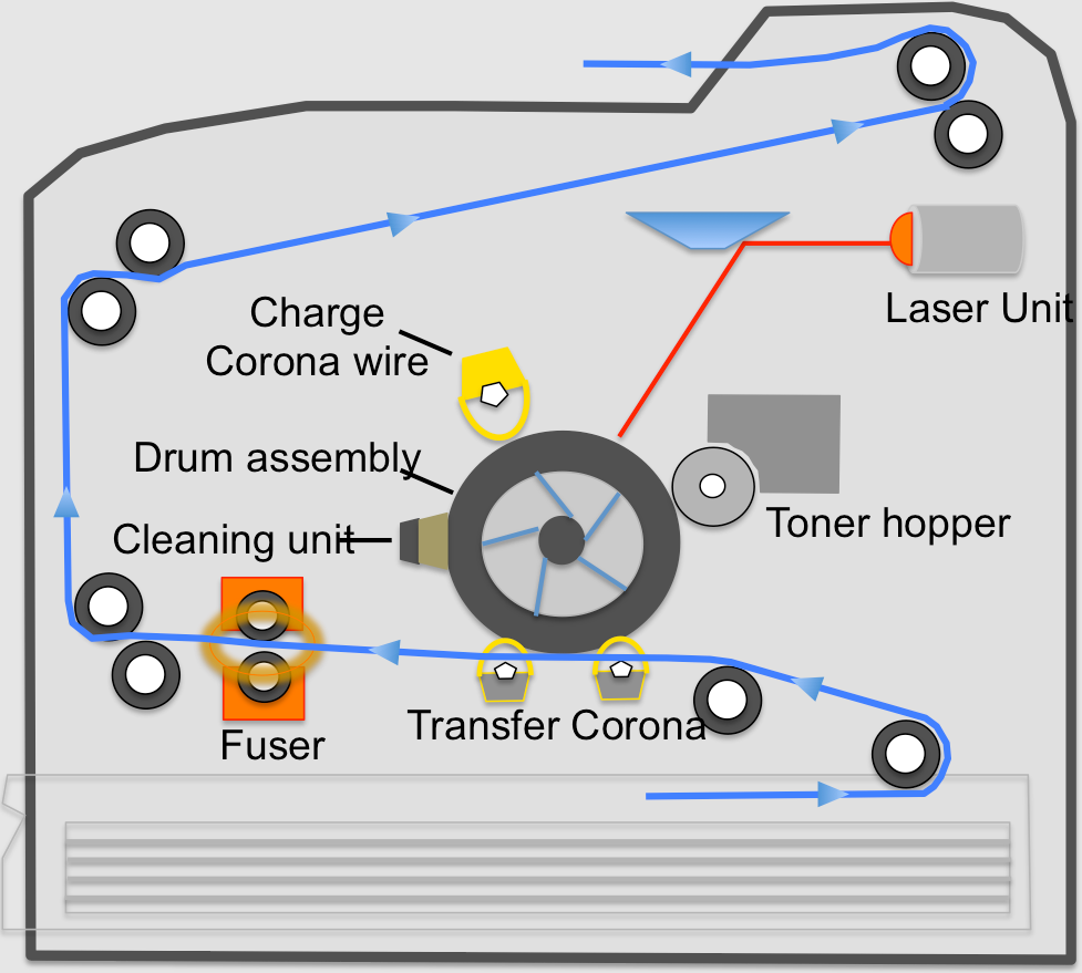 <p>Drum</p><p></p><p>A cylindrical component transfer the toner from the toner cartridge onto the paper to create the printed image. It is coated with a photoconductive material that is sensitive to light. The laser beam directed onto the drum creates a static charge on the photoconductive surface which attracts the toner particles and transfer them onto the paper.</p><p>The drum must be replaced periodically to ensure optimal print quality and maintain the integrity of the printed image.</p>