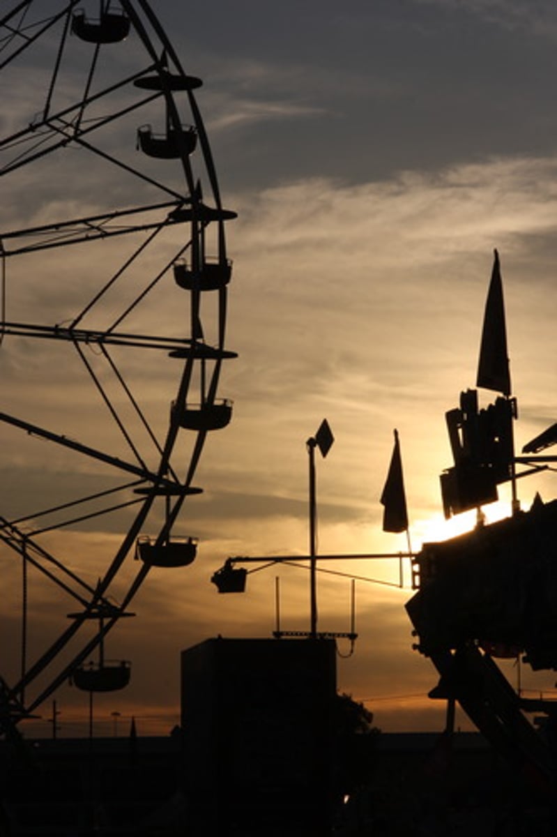 <p>fair</p>