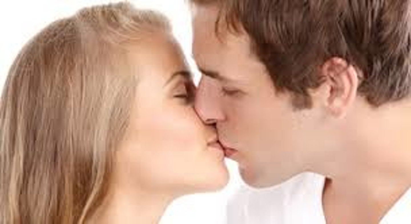 <p>kiss</p><p>Les messieurs baisaient la main des dames</p>