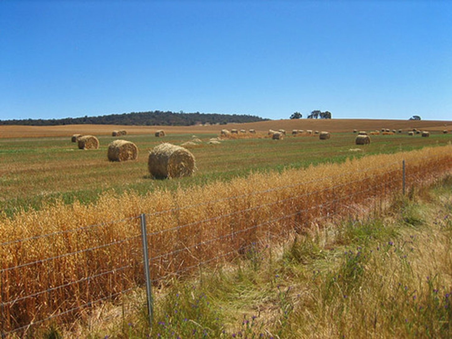 <p>Land used for growing crops</p>
