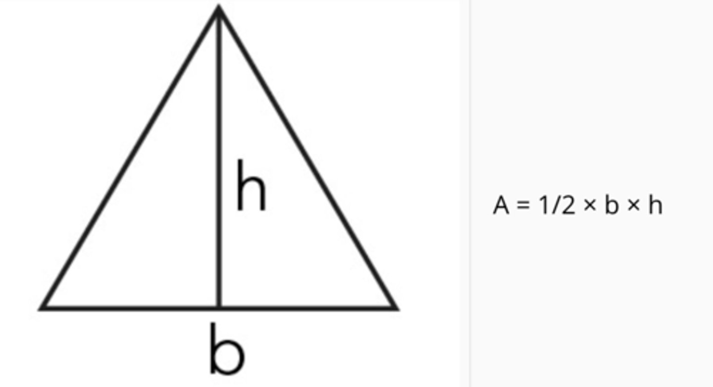 <p>P = a + b + c</p><p>A = 1/2bh</p>