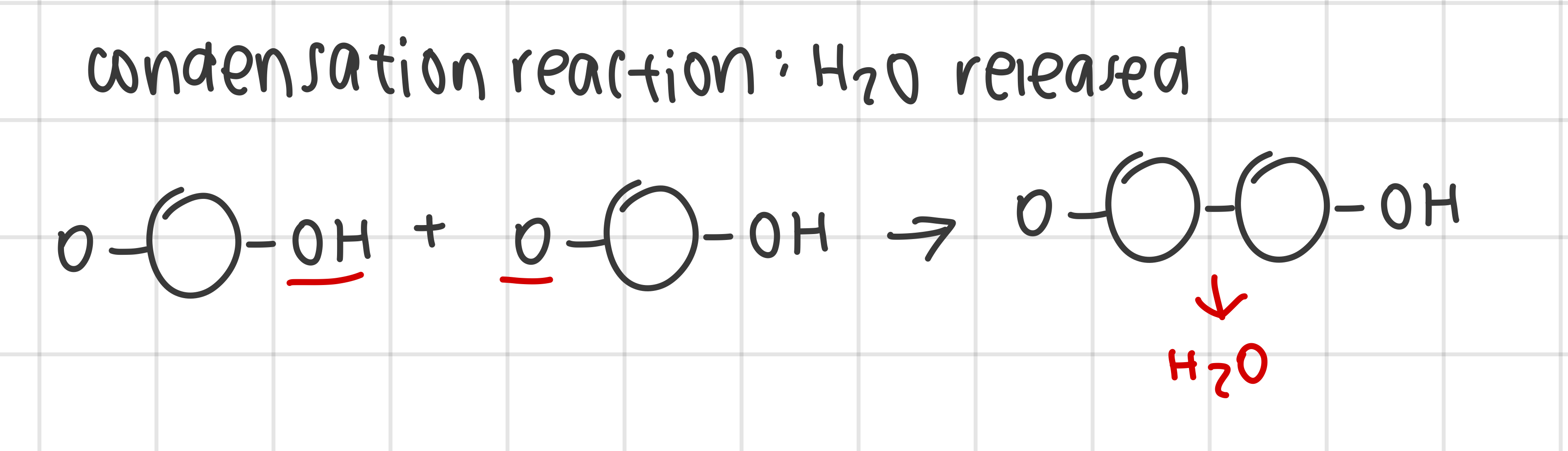 <ul><li><p>monomers are recurring subunits covalently joined to form polymers</p></li><li><p>polymers form monomers by condensation reactions</p><ul><li><p>water molecule removed as a byproduct</p></li></ul></li></ul><p></p>
