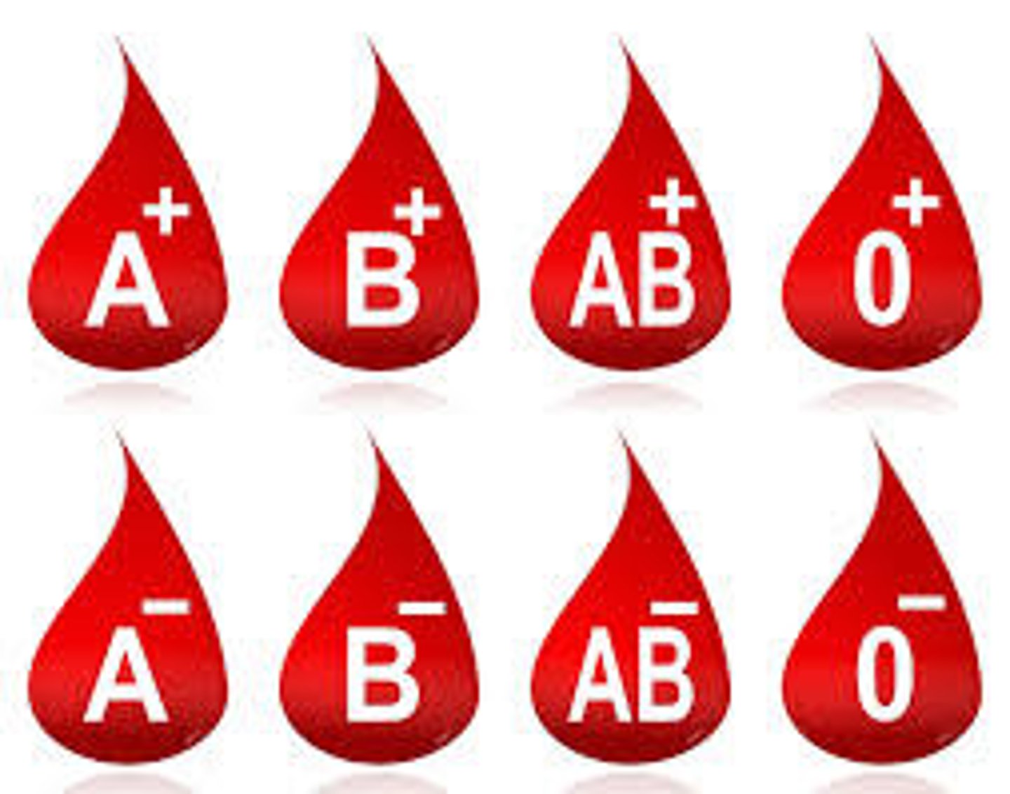 <p>blood</p>