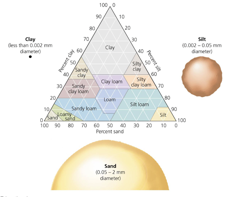 size of particles
smallest to largest: clay, silt, sand
Loam = soil with an even mixture of the three
Affects how easily air and water travel through the soil
Influences how easy soil is to cultivate