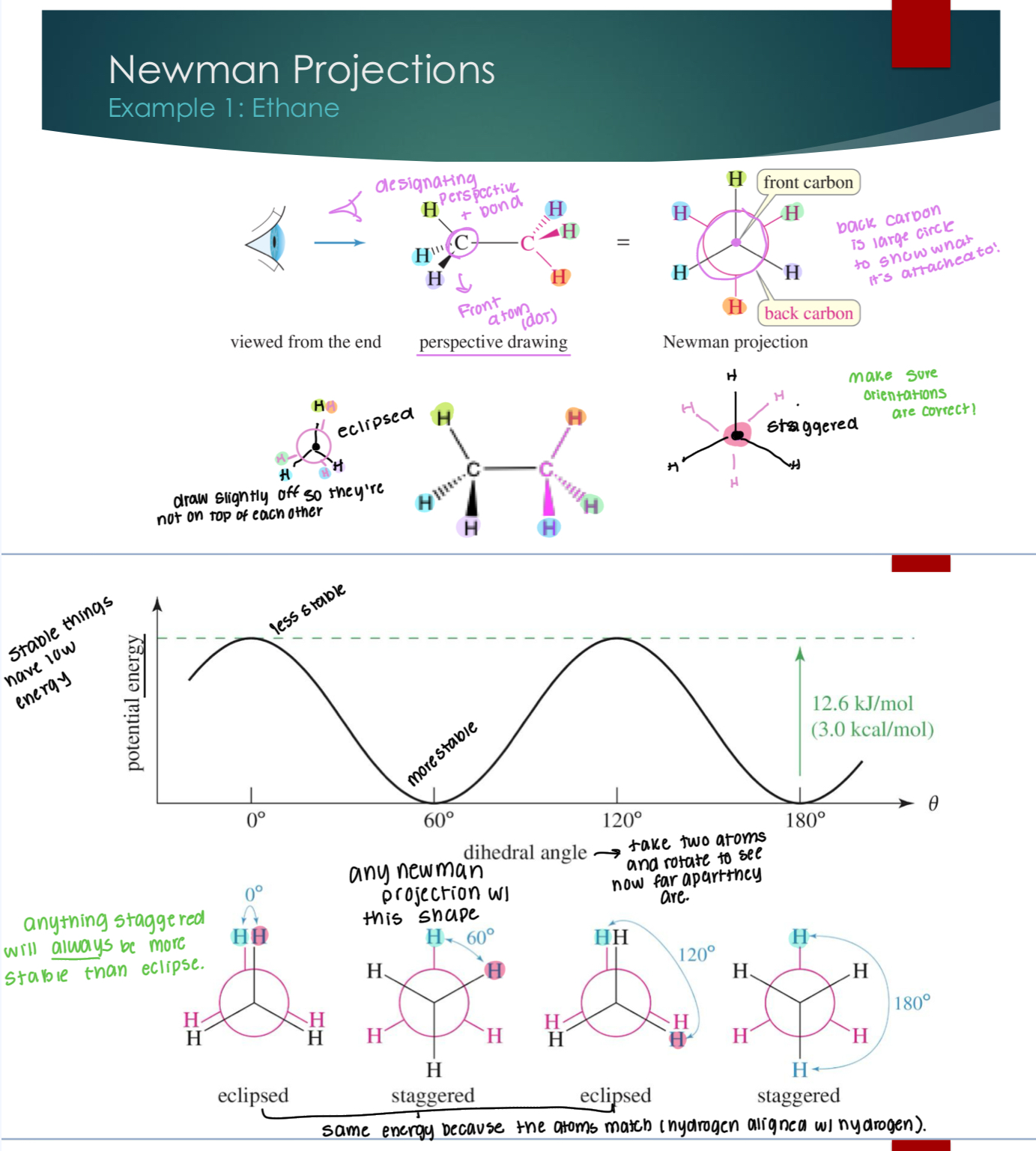 <p>First, we need to designate a perspective and a bond. Back carbon is represented by a large circle to show what it is attached to.&nbsp;</p><p>Eclipse structures are on top of each other (but, we draw them slightly off to show them) while staggered are 60 degrees from each other.&nbsp;</p><p><strong>Staggered are always more stable than eclipses.&nbsp;</strong></p><p>Dihedral means that you’re taking the atoms and seeing how far apart they are.&nbsp;</p>