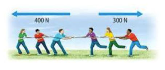 <p>What is the net force in this image?</p>