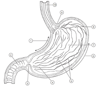 <p>3</p>