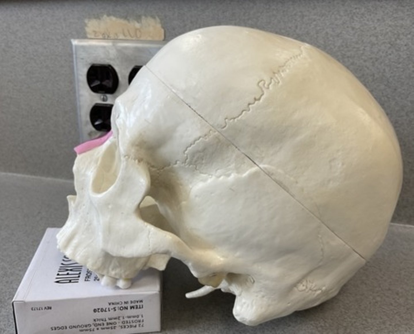 knowt flashcard image