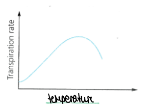 <p>increasing and then a hump and decreases a bit</p>