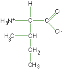 <p>What macromolecule is this?</p>