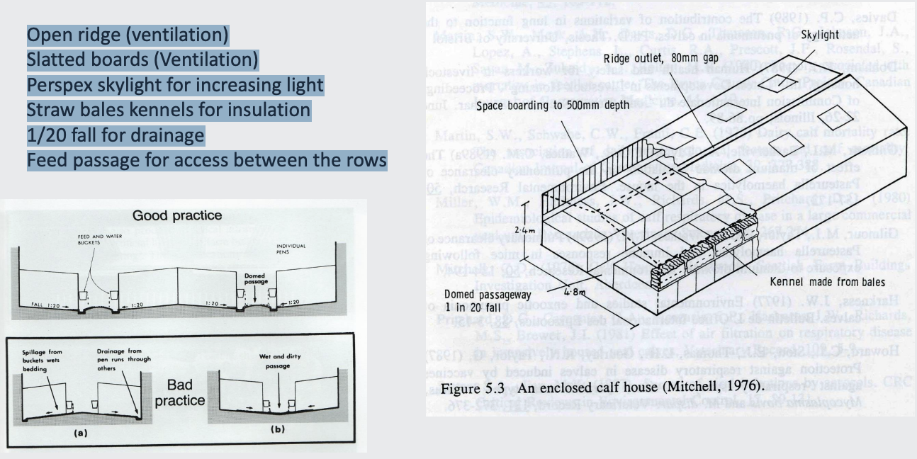 <p>Open ridge (ventilation)</p><p>Slatted boards (Ventilation)</p><p>Perspex skylight for increasing light</p><p>Straw bales kennels for insulation</p><p>1/20 fall for drainage</p><p>Feed passage for access between the rows</p>