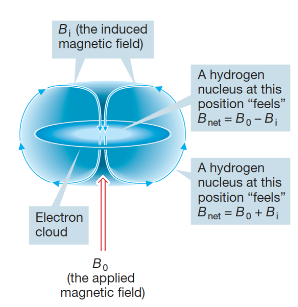 <p>dependent on chemical environment</p><p>B<sub>loc</sub>=B(1-σ)</p><p>σ = shielding constant</p>
