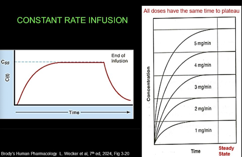 <p><span><span>When a drug is infused, plasma drug concentration rises gradually until it reaches a steady state:</span></span></p><ul><li><p><span><span>Time to steady state is the same regardless of infusion rate: it depends only on the half-life.</span></span></p></li></ul><p></p>