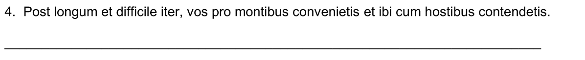 term image