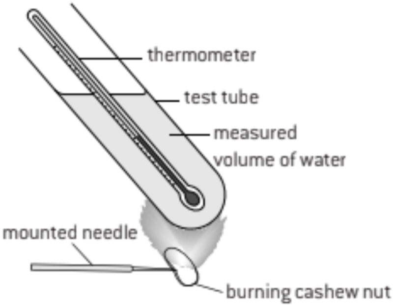 <ul><li><p>since it take 4.2 J of energy to heat 1 mL of water by 1 degree</p></li><li><p>energy content of a food ( J g) = (°C×mL×4.2J)÷(g)</p></li><li><p>food calorimer are more accurate since it traps <strong>all </strong>heat</p></li></ul>