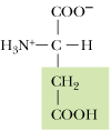<p>What amino acid is this?</p>