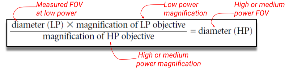 <p>The diameter of the field of view under high power often cannot be measured directly, so it must be calculated through an equation: </p><p>Diameter (HP FOV) = (Diameter LP x magnification of LP objective)/magnification of HP objective </p>