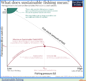 <p>is harvesting fish at a sustainable rate</p><ul><li><p>The fish population does not decline over time because of fishing.</p></li></ul><ul><li><p>Uses selective methods to maximize fish capture without causing fish populations to decrease</p></li><li><p>The rate of harvesting has to be lower than the rate of replacement!</p></li></ul><p></p>