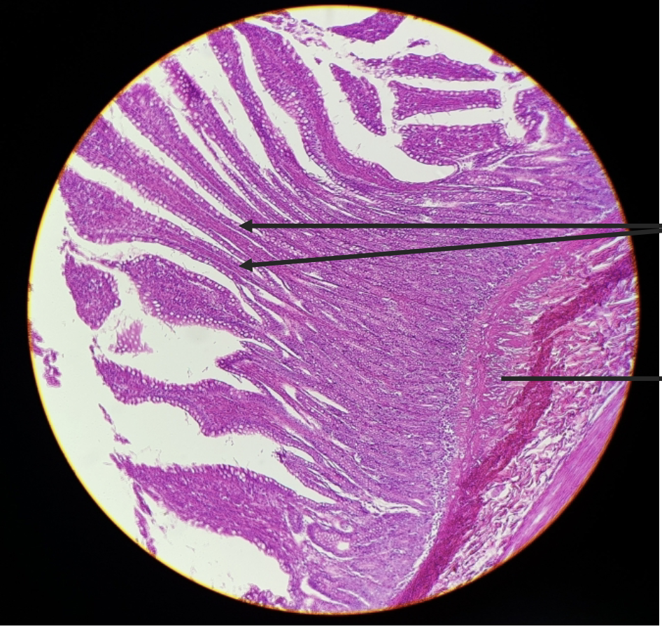 <p>what is this?&nbsp;</p>