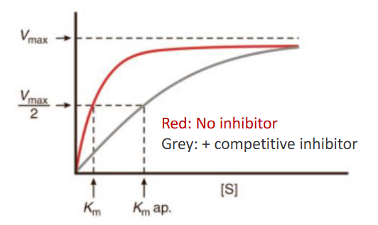 <p><span style="color: #0e0a0a">Substrate Vmax unchanged, Km increase</span></p>