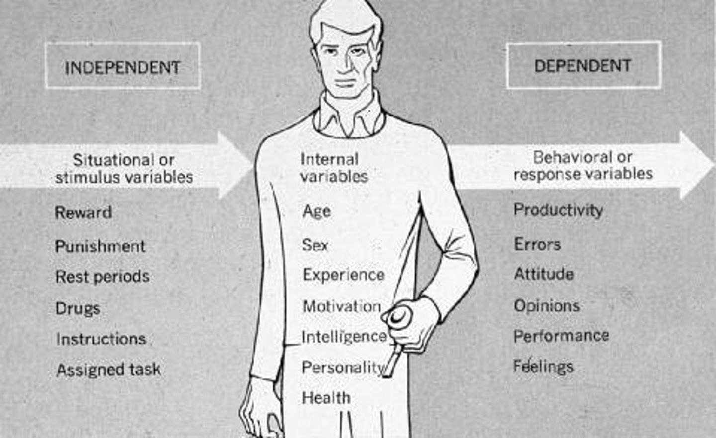 <p>The experimental factor that is manipulated; the variable whose effect is being studied.</p>
