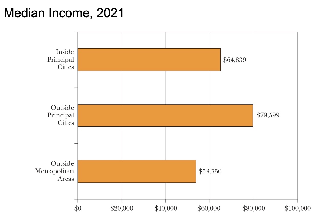 <ul><li><p>differences between urban and suburban dwellers gives us an understanding of the greater financial resources available to many of those living beyond city limit</p></li></ul><p></p>