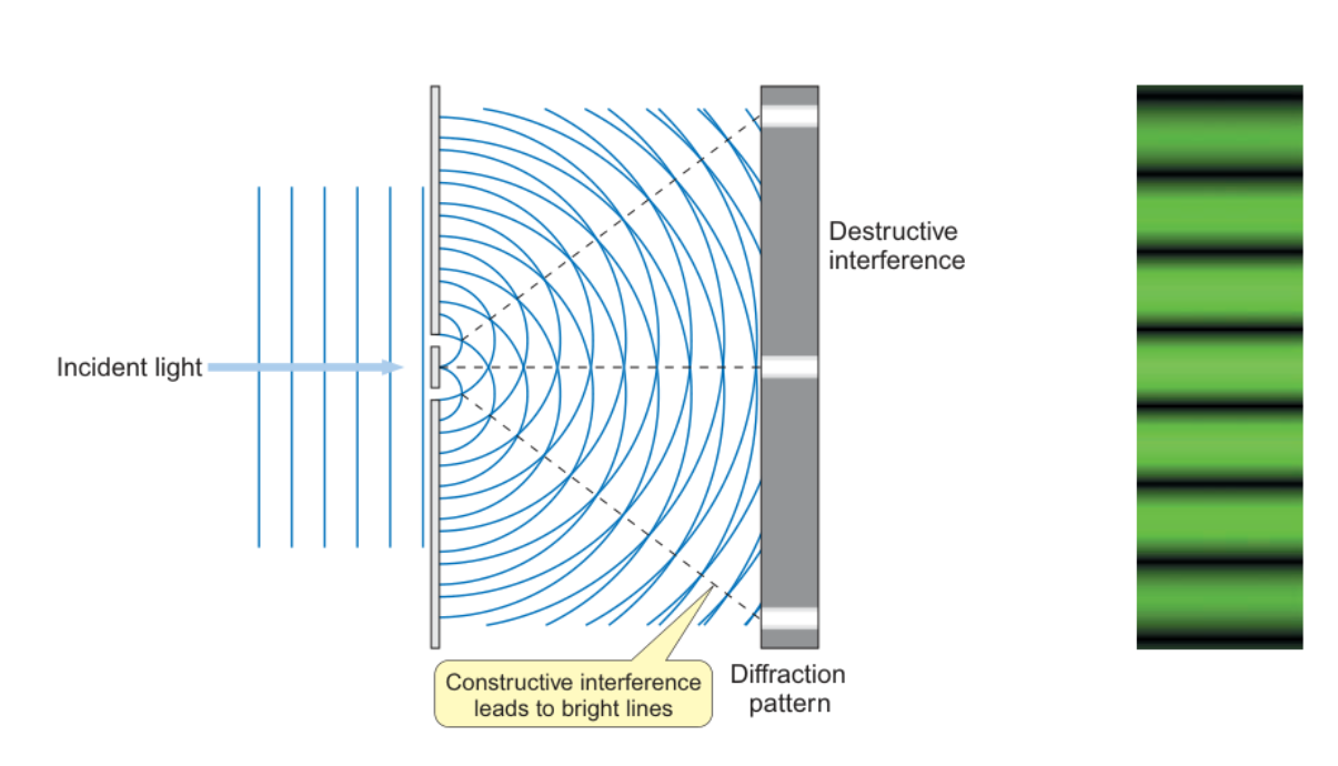 <p>double slit experiment</p><p>when light pass through two closely spaced slits, each slit gives rise to a circular wave and these waves interfere with each other to give a diffraction pattern consisting of a series of bright and dark lines</p><p>when the peak of the first wave coincides with the peak of the second, constructive interference occurs and the amplitudes of the two waves add together. when the peak of the first wave coincides with the trough of the second, destructive interference occurs and the two waves cancel each other out.</p>