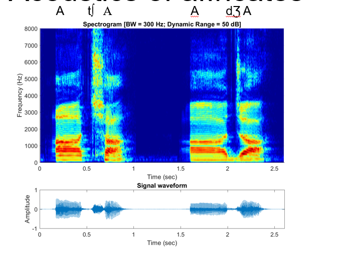<p>[d͡ʒ,t͡ʃ]</p><p>Stop closure released into fricative</p><p>Features include:</p><ul><li><p>Closure</p></li><li><p>Burst</p></li><li><p>Frication noise</p></li></ul><p></p>