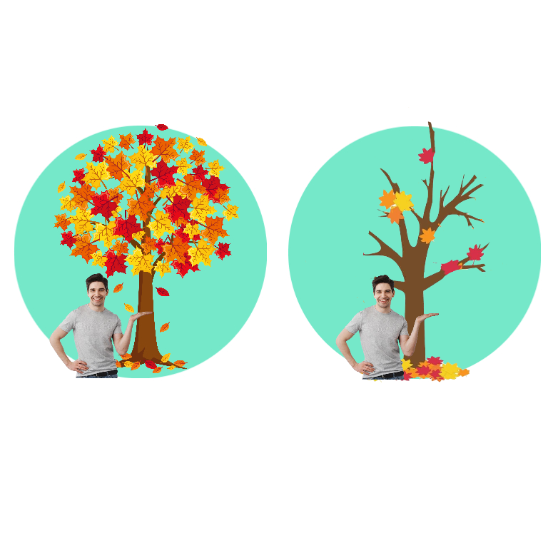 <p><strong><mark data-color="green" style="background-color: green; color: inherit;">autumn</mark> /ˈɔːtəm/</strong></p><p>Syn: the fall /fɔːl/</p><p><strong>DEUTSCH:</strong></p><p>der Laubfall, der Herbst</p>