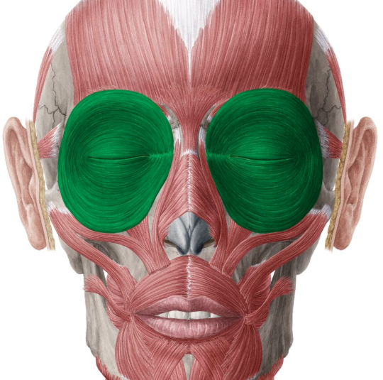<p>jelly eye patch</p>