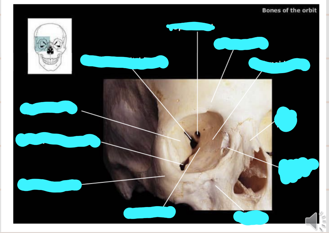 <p>label these structures</p>