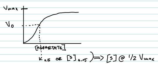<p>What does K₀.₅ or [S]₀.₅ mean for ATCase?</p>
