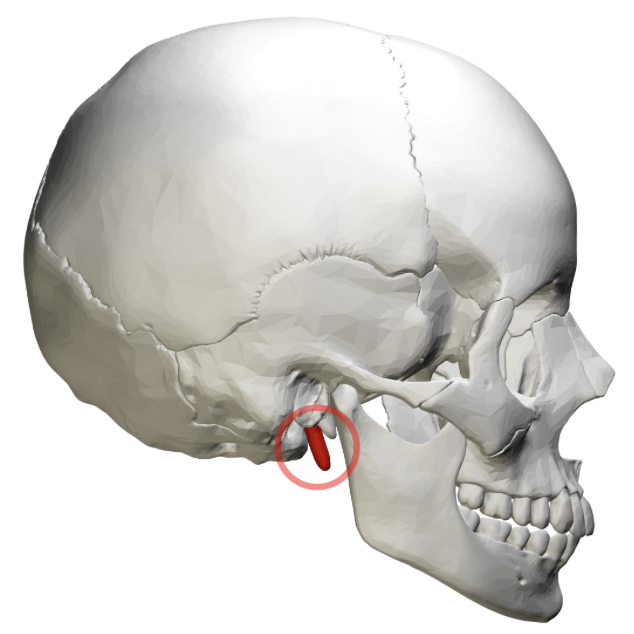 term image