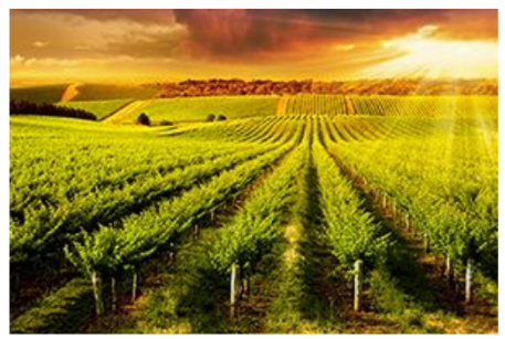 <p>unusually large or abundant, often referring to agricultural yields.</p>