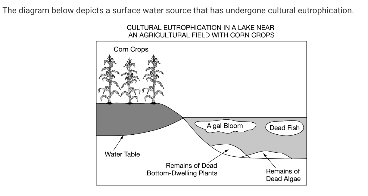 <p>Based on the diagram, which of the following processes most likely caused the bottom-dwelling plants in the lake to die?</p>