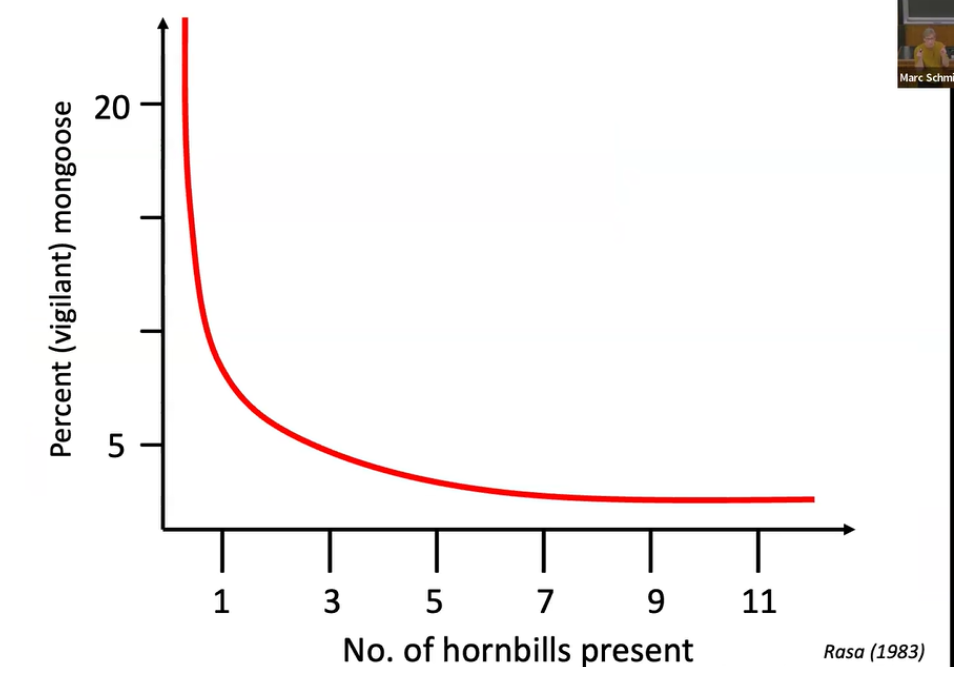 <ul><li><p><span style="background-color: transparent; font-family: "Short Stack", cursive;">Hornbill and mongoose&nbsp;</span></p></li><li><p><span style="background-color: transparent; font-family: "Short Stack", cursive;">Hornbill will signal and tell them when a predator is coming, and the mongoose will dig up worms for hornbill to eat</span></p></li></ul><p></p>