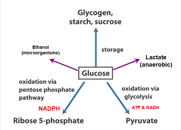 <p>SUMMARY SO FAR</p>